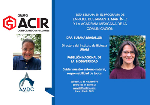 Promo 20 de Noviembre 2021